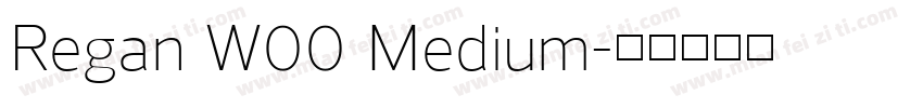 Regan W00 Medium字体转换